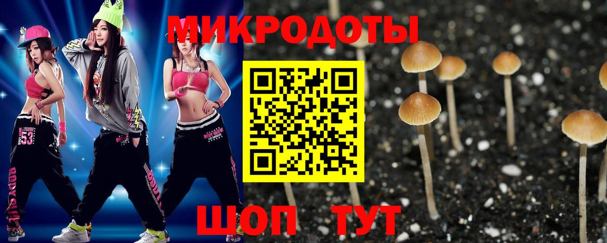 Галлюциногенные грибы Psilocybe Кашира