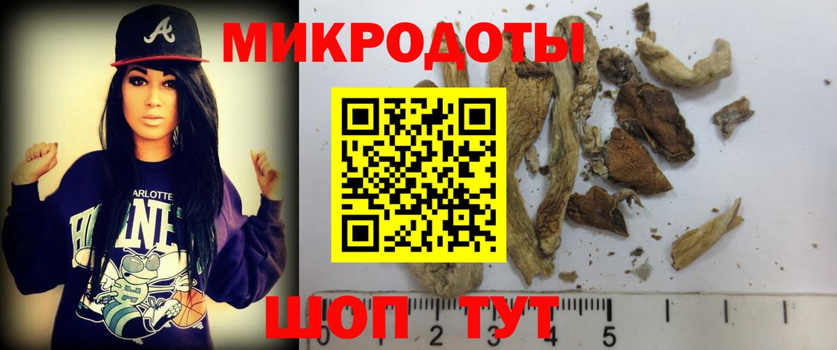 Псилоцибиновые грибы GOLDEN TEACHER  Галлюциногенные грибы Psilocybe  Вход с VPN  Кашира 
